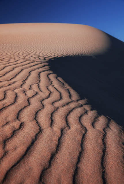 Alexandria dunes in Zuid Afrika - Reislegende.nl
