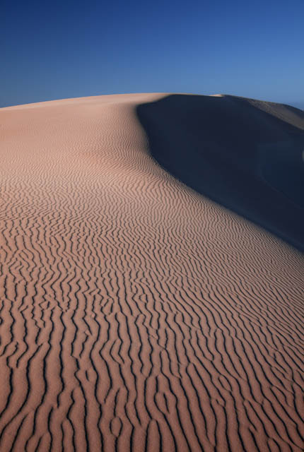 Alexandria dunes Zuid Afrika - Reislegende.nl