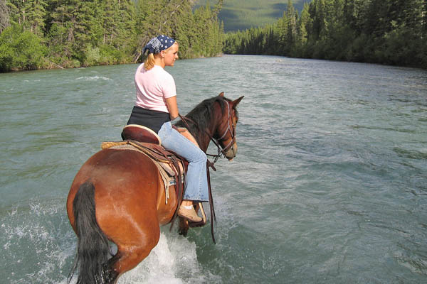 rockies on horse