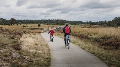 Fietsen in Nationaal Park de Hoge Veluwe - Reislegende.nl