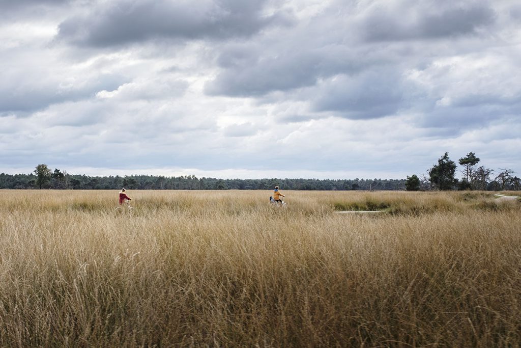 Fietsen in Nationaal Park de Hoge Veluwe - Reislegende.nl