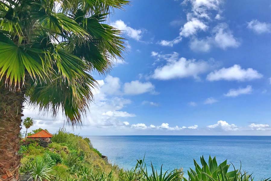 Fajã dos Padres; Garden of Eden op Madeira - AllinMam.com