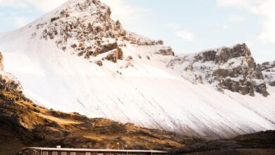Viking Cafe accommodatie Stokksnes Hofn IJsland zuidkust - Reislegende.nl