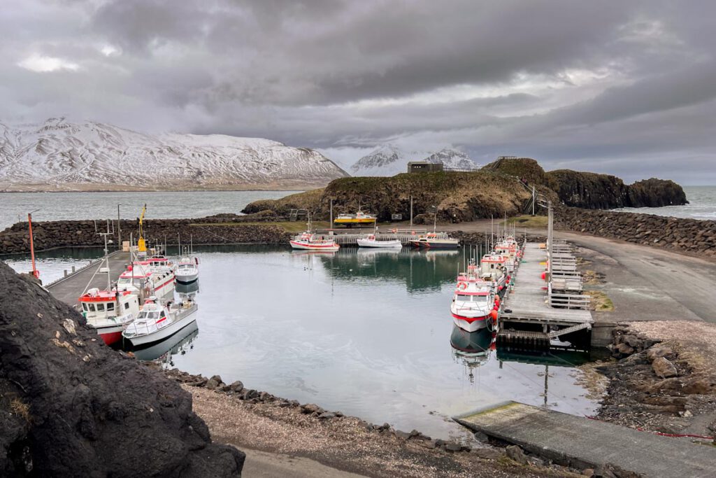 Borgarfjardarhofn Borgarfjordur Eystri in oostfjorden van IJsland - Reislegende.nl