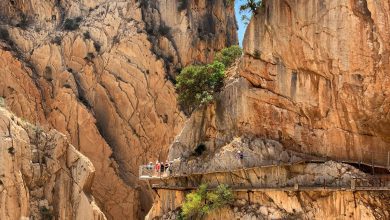 Caminito del Rey spectaculaire wandeling in Andalusië - Reislegende.nl