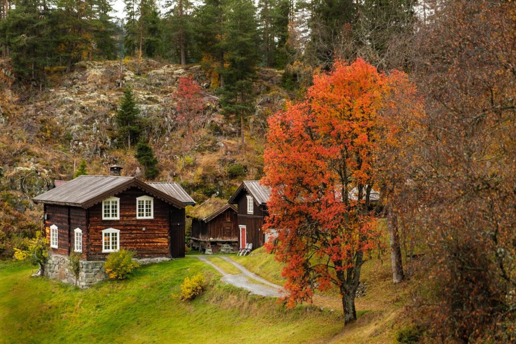 Dalen Vestfold og Telemark Ravnejuvvegen weg naar Ravnejuv Raven Gorge Zuid-Noorwegen - Reislegende.nl