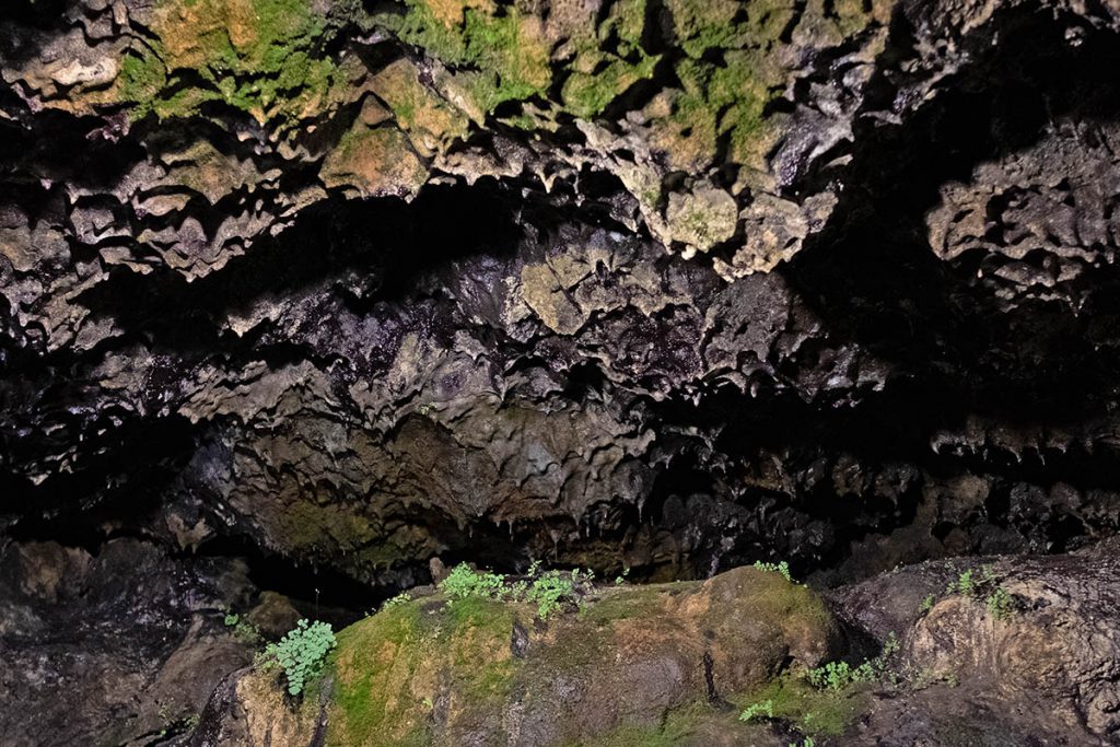 São Vicente Caves op Madeira, door lava uitgesleten gangen - Reislegende.nl
