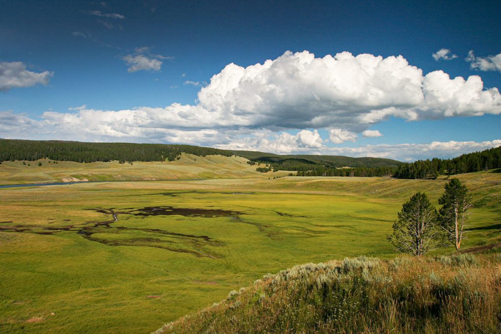 Hayden Valley in Yellowstone - Yellowstone National Park: 10x wat je niet mag missen - Reislegende.nl