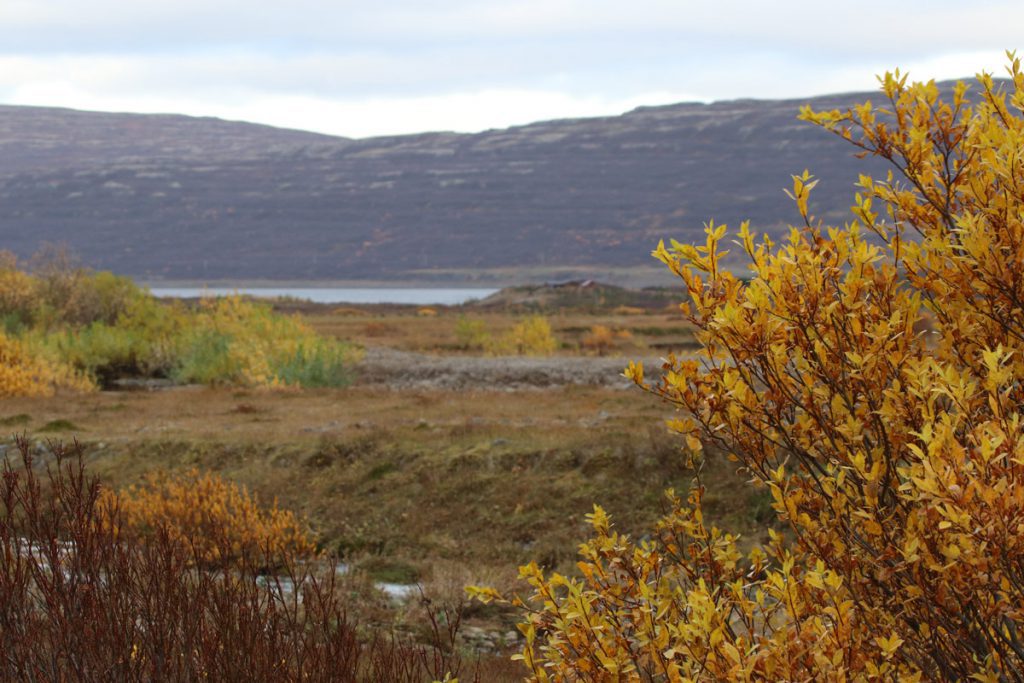 Herfst in de westfjorden IJsland Reislegende - Reislegende.nl