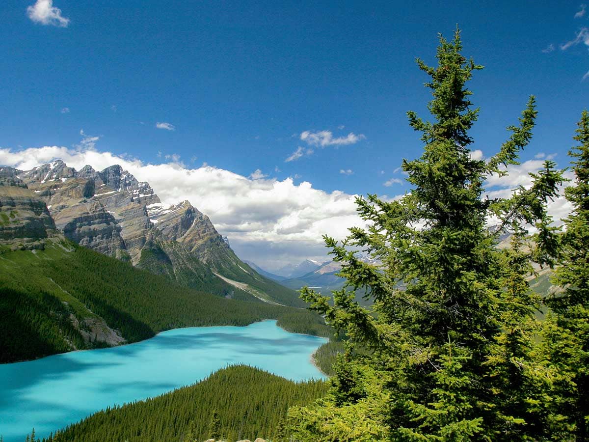 Peyto Lake - Rondreis door Canada en de Verenigde Staten - Reislegende.nl