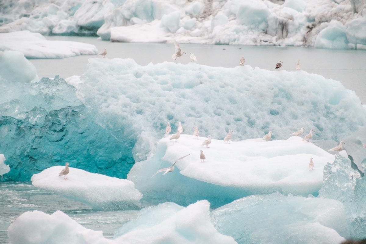 Jokulsarlon met regen zuid IJsland tips - Reislegende.nl