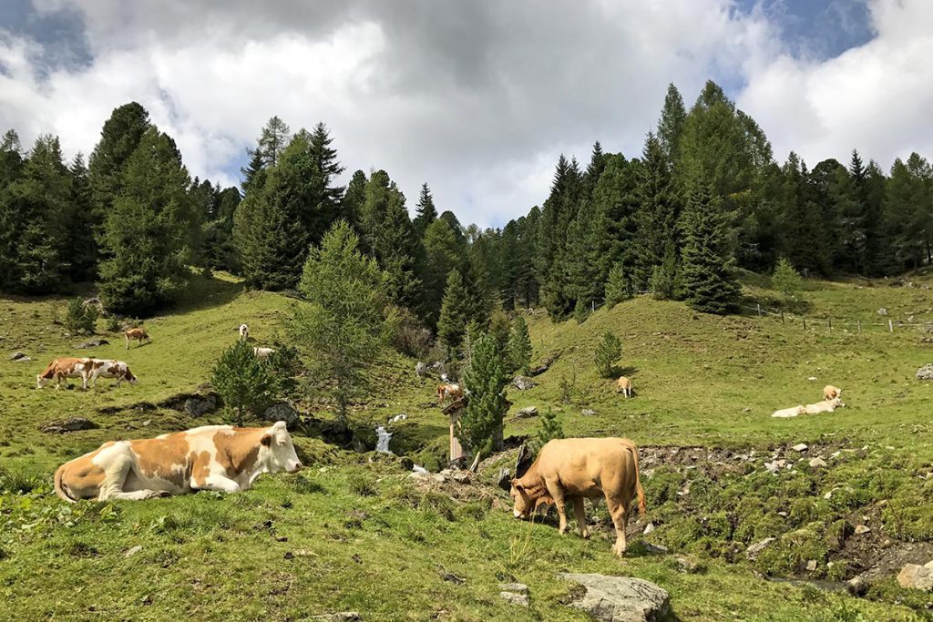 Nockalmstrasse, prachtige panoramaweg in Karinthië - Reislegende.nl