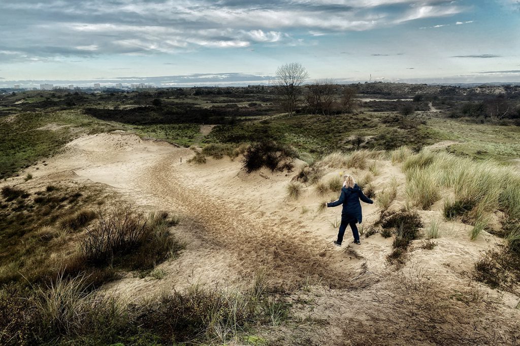 Wisentenpad in Kraansvlak - Op zoek naar wisenten in de Kennemerduinen - Reislegende.nl