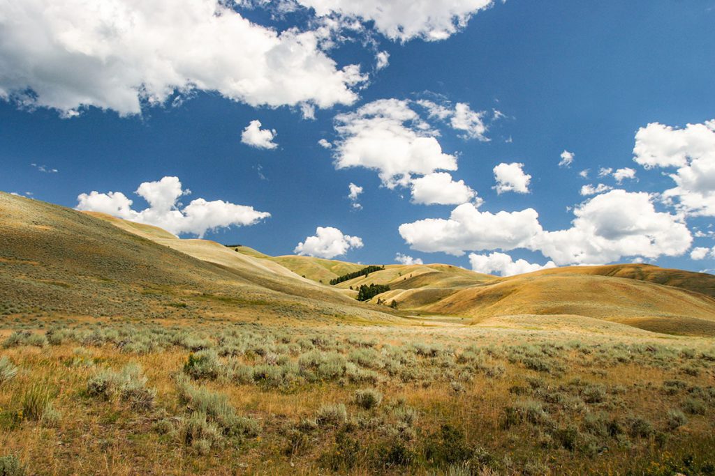 Lamar Valley in Yellowstone - Yellowstone National Park: 10x wat je niet mag missen - Reislegende.nl