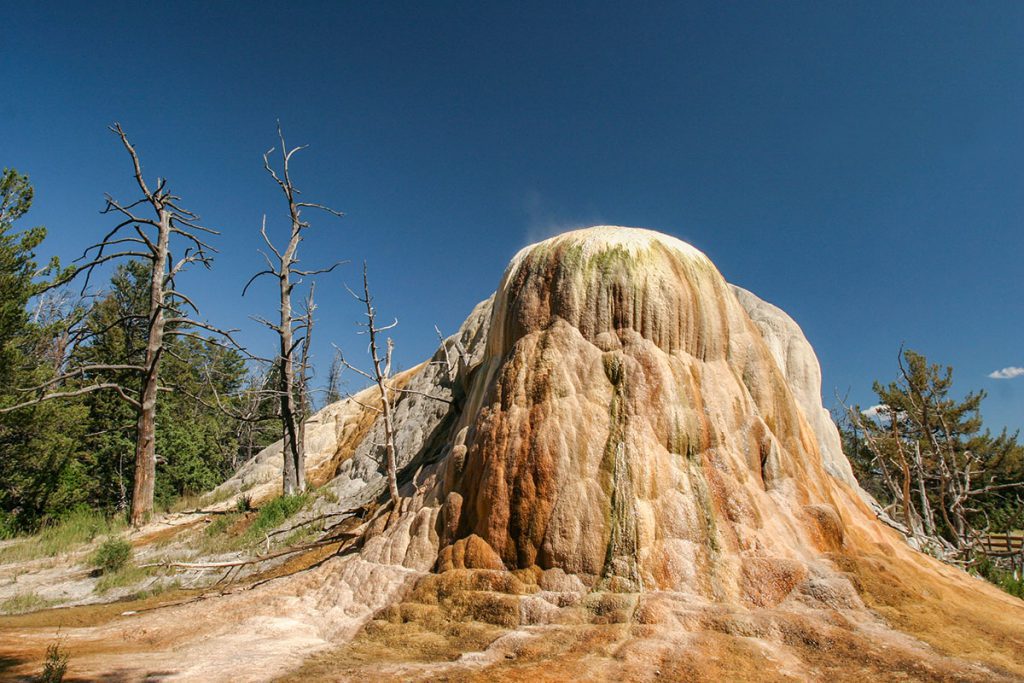 Orange Spring Mound, Mammoth Hot Springs in Yellowstone - Yellowstone National Park: 10x wat je niet mag missen - Reislegende.nl