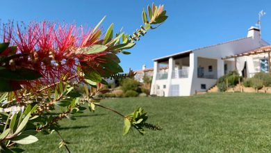 Monte da Estrela - 4x prachtige accommodatie in Alentejo - Reislegende.nl