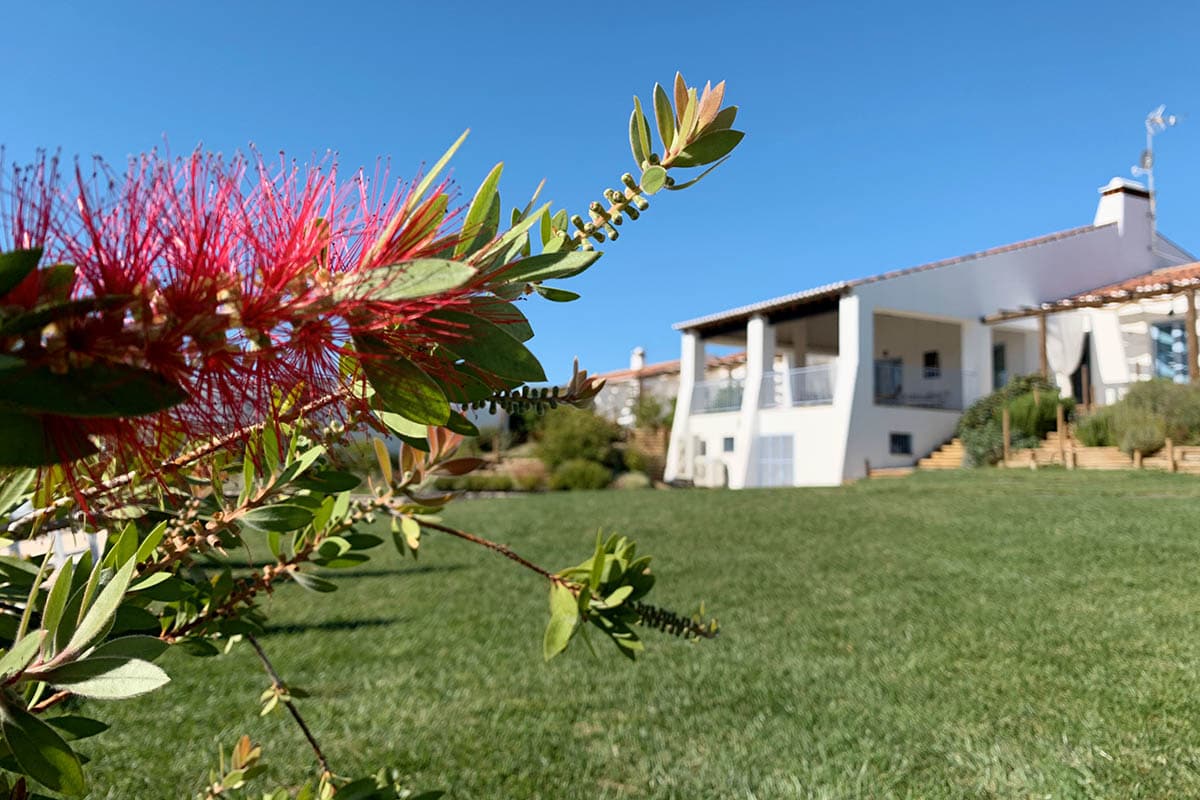 Monte da Estrela - 4x prachtige accommodatie in Alentejo - Reislegende.nl