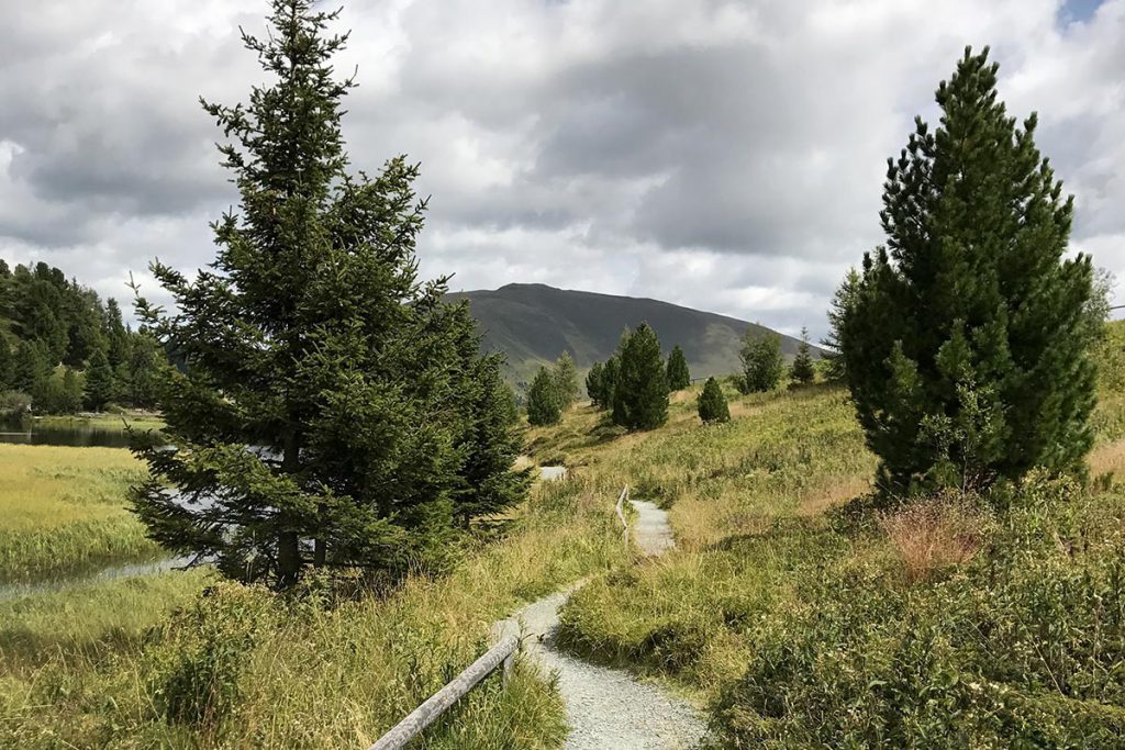 Nockalmstrasse, prachtige panoramaweg in Karinthië - Reislegende.nl