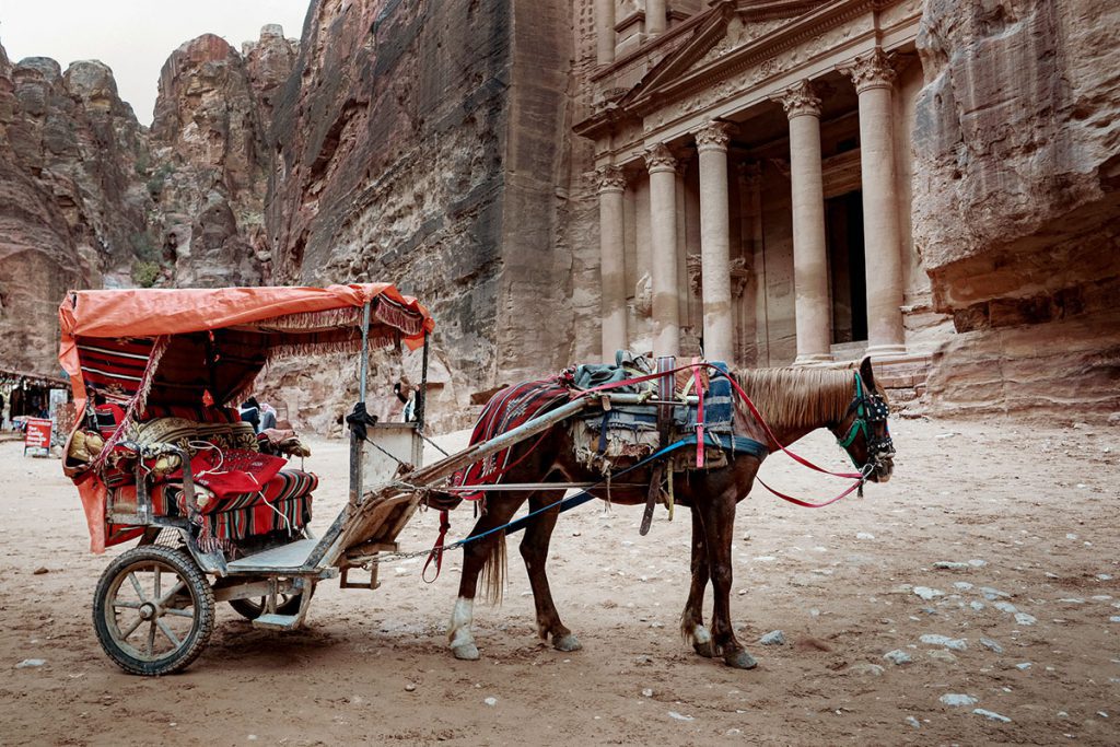 Meldt dierenmishandeling in Petra  - Tips voor een bezoek aan Petra, wereldwonder in Jordanië - Reislegende.nl