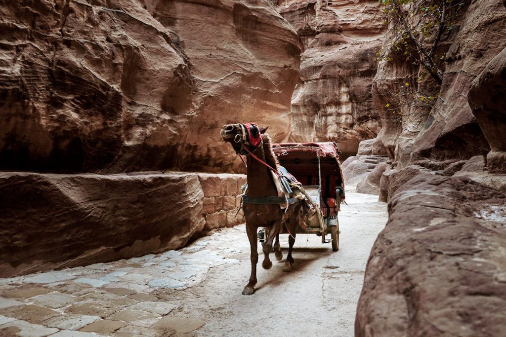Tips voor een bezoek aan Petra, wereldwonder in Jordanië - Reislegende.nl