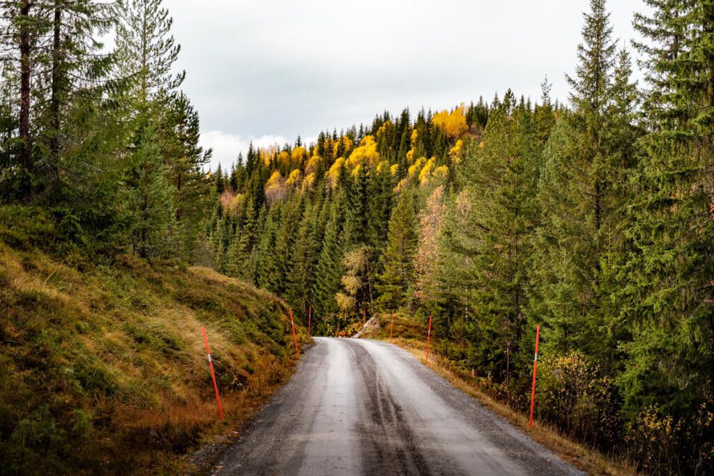 Ravnejuvvegen Vestfold og Telemark Ravnejuv Raven Gorge Dalen Zuid-Noorwegen tips - Reislegende.nl