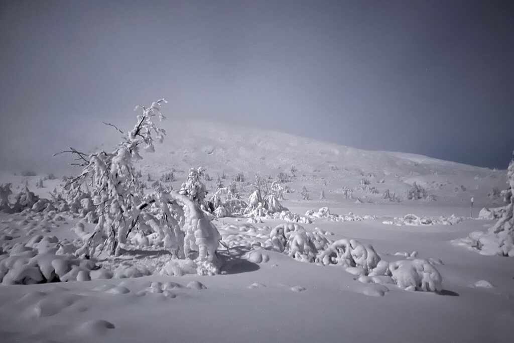 Sneeuwschoenwandelen in Noorwegen Trysil - Reislegende.nl