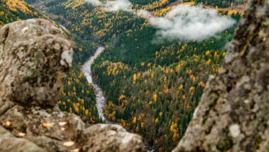 Tips in Vestfold og Telemark bezienswaardigheden Ravnejuvvegen weg naar Ravnejuv Raven Gorge Dalen Zuid-Noorwegen - Reislegende.nl