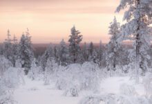 Zonsondergang in Urho Kekkonen national - 25x wat te doen in Lapland - Reislegende.nl