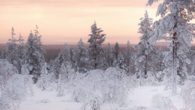 Zonsondergang in Urho Kekkonen national - 25x wat te doen in Lapland - Reislegende.nl