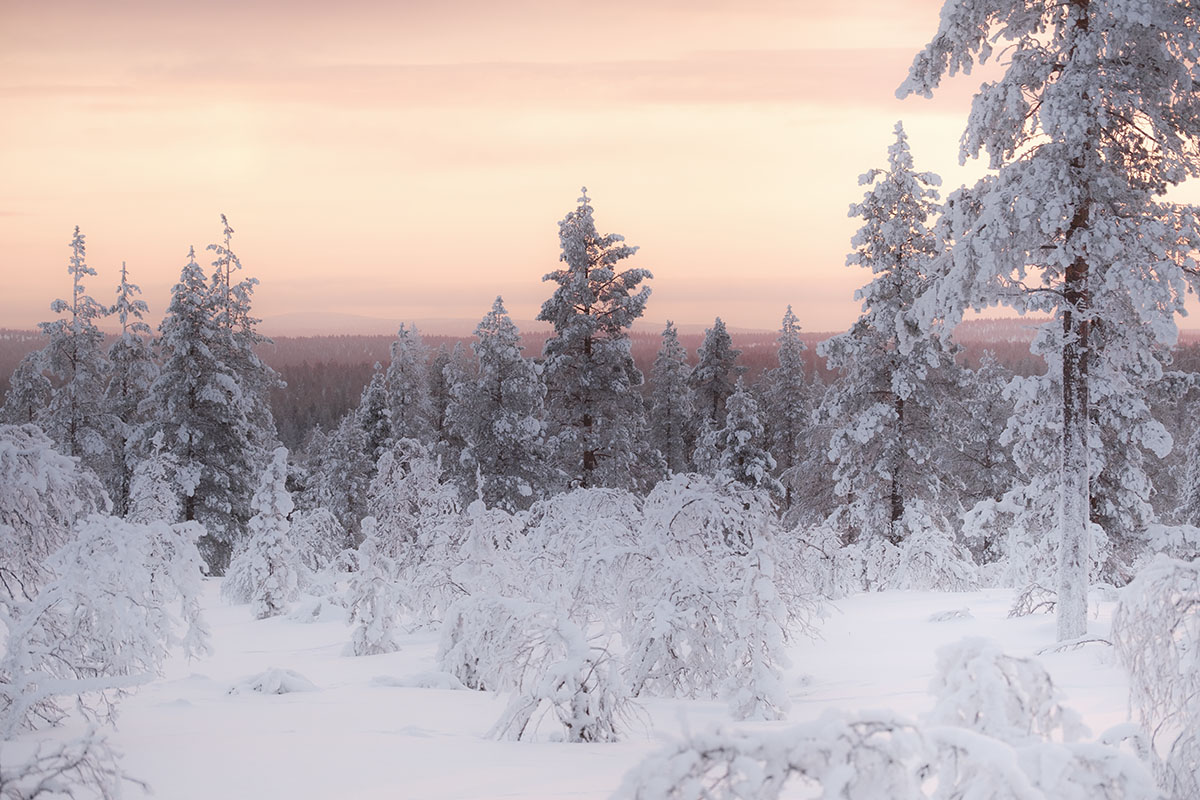 Zonsondergang in Urho Kekkonen national - 25x wat te doen in Lapland - Reislegende.nl