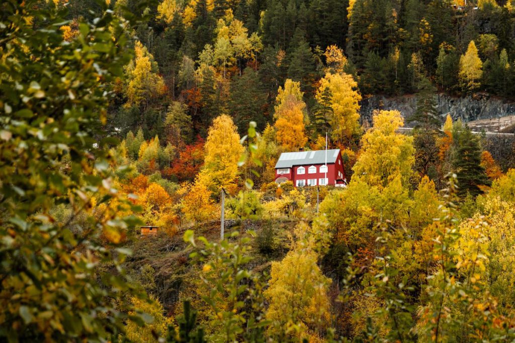 Vestfold og Telemark Dalen Noorwegen tips - Reislegende.nl