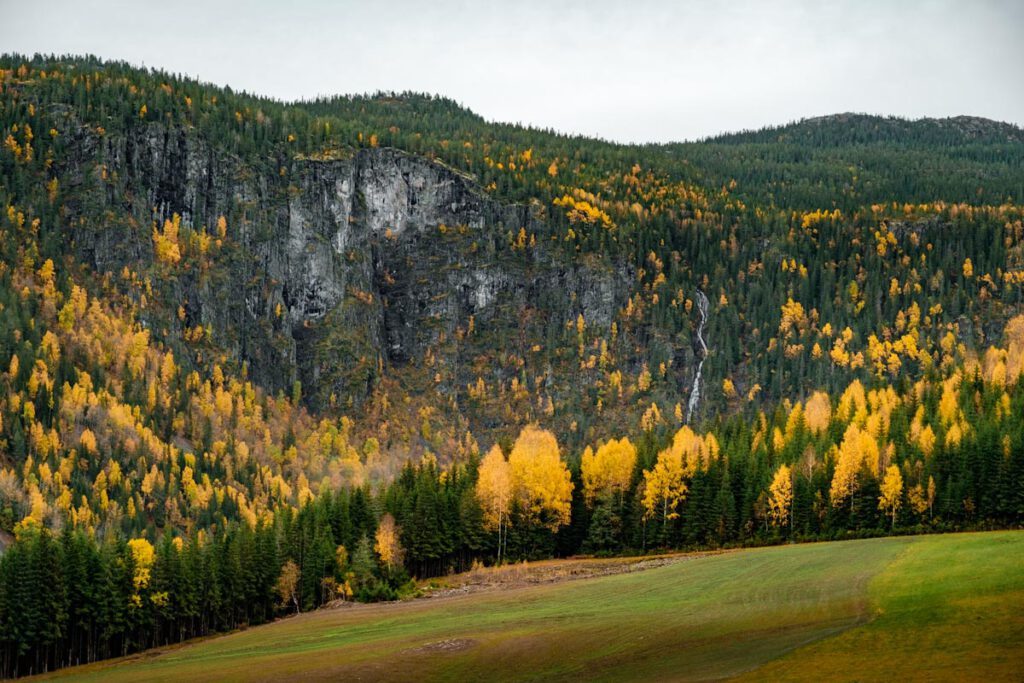 Vestfold og Telemark Ravnejuv Raven Gorge Dalen Zuid-Noorwegen - Reislegende.nl