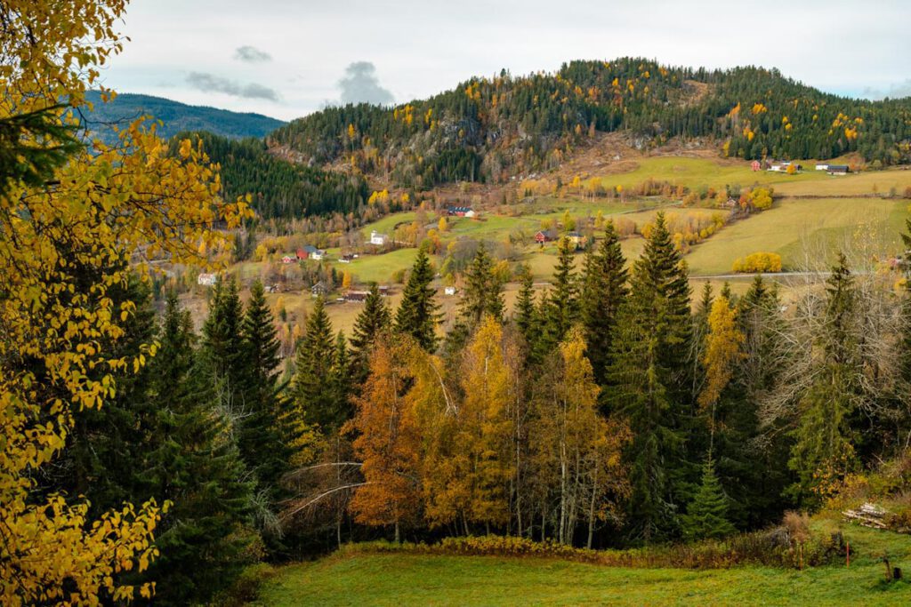 Vestfold og Telemark Ravnejuvvegen in zuid-Noorwegen tips - Reislegende.nl