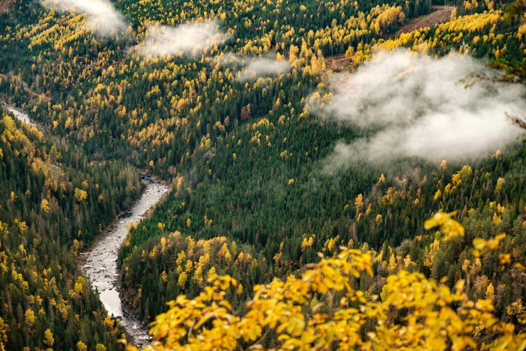 Vestfold og Telemark bezienswaardigheden Ravnejuvvegen weg naar Ravnejuv Raven Gorge Dalen Zuid-Noorwegen - Reislegende.nl