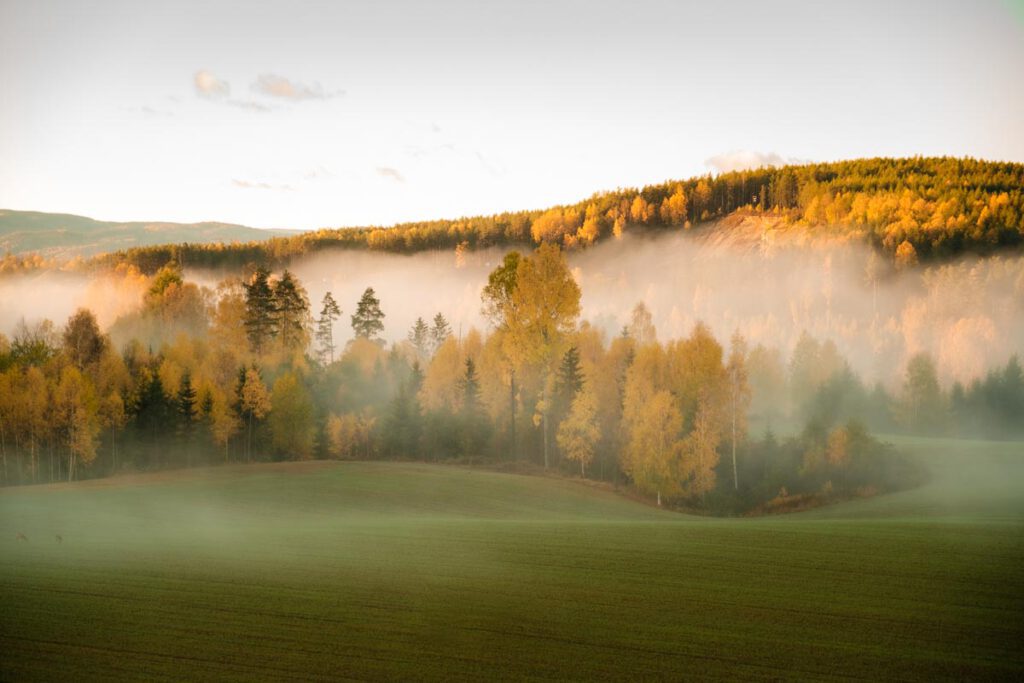 Vestfold og Telemark wat te doen in herfst in Noorwegen - Reislegende.nl