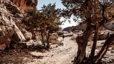 Via de backdoor trail naar Petra in Jordanië - Reislegende.nl