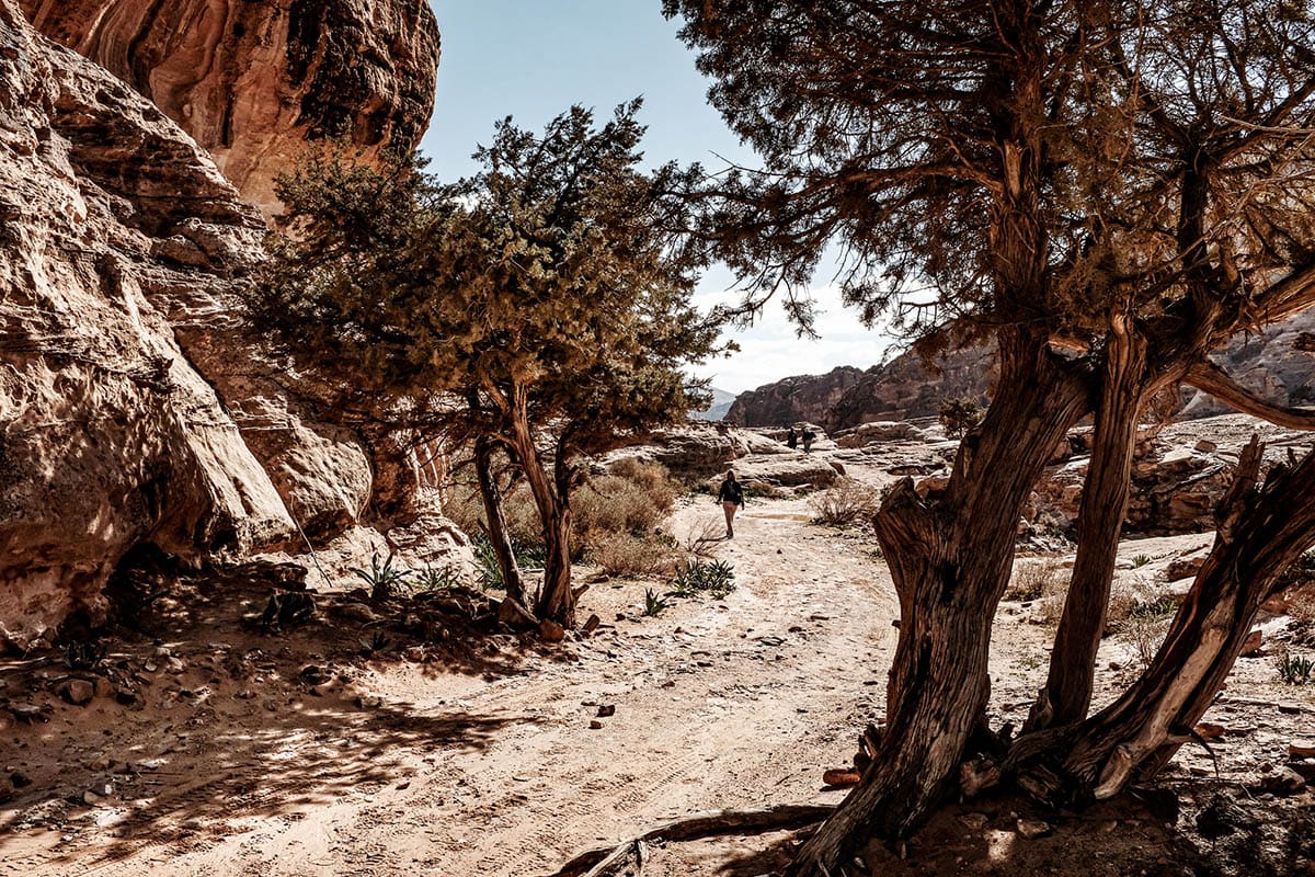 Via de backdoor trail naar Petra in Jordanië - Reislegende.nl