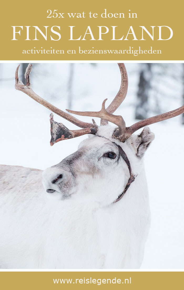 Wat te doen in Fins Lapland - Reislegende.nl