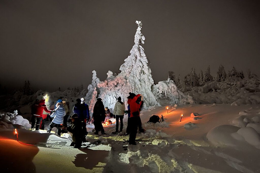 Wolverine Adventure sneeuwschoenwandeling Magic Night Fagerasen Trysil Noorwegen - Reislegende.nl