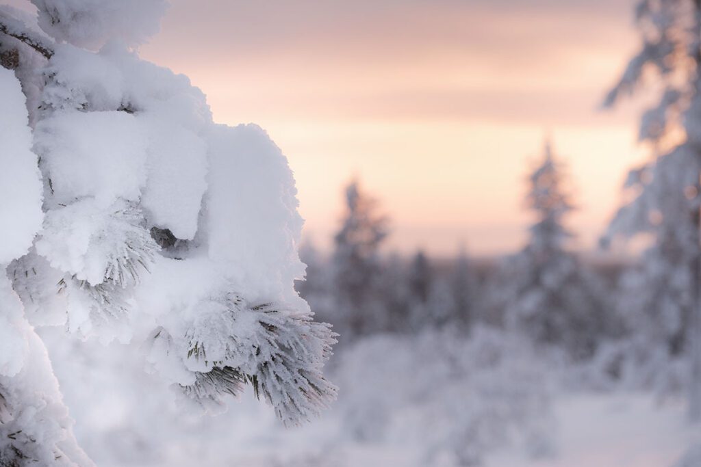 Zonsondergang in Urho Kekkonen national - 25x wat te doen in Lapland - Reislegende.nl