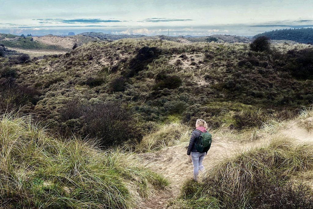 Wisentenpad - Op zoek naar wisenten in de Kennemerduinen - Reislegende.nl