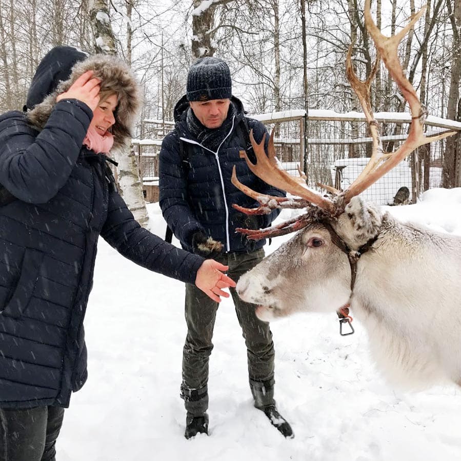 Rendieren voeren in Finland - AllinMam.com