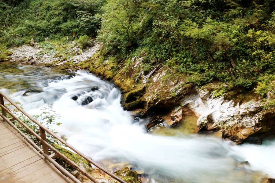 Must see in Slovenië: de prachtige Vintgar kloof - Reislegende.nl