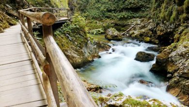 Must see in Slovenië: de prachtige Vintgar kloof - Reislegende.nl
