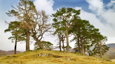 Bezoek deze Outlander filmlocaties in Schotland - Reislegende.nl