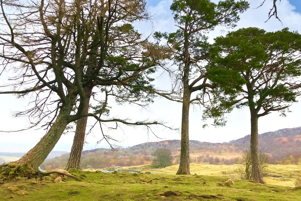 Craigh Na Dun - Bezoek deze Outlander filmlocaties in Schotland - Reislegende.nl