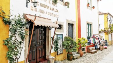 Vanuit Lissabon een dagje naar Óbidos - Reislegende.nl