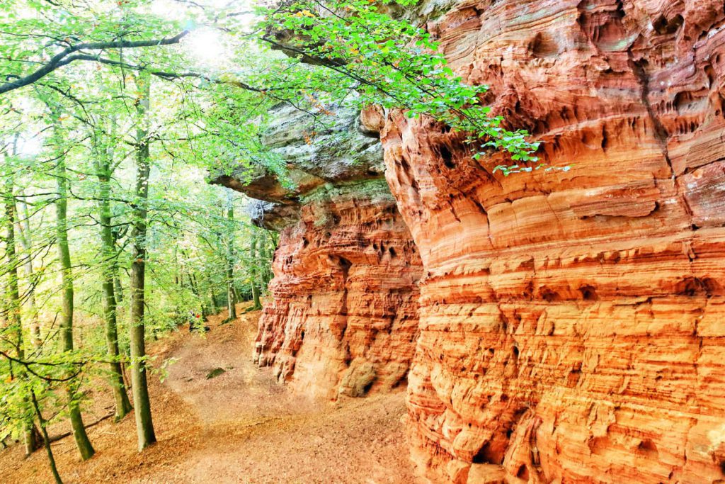 Altschlossfelsen - Roadtrip door de Vogezen: route, bezienswaardigheden en tips - Reislegende.nl