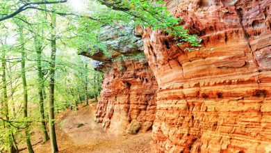 Herfst in de Vogezen: verblijf in een goud gele wereld - Reislegende.nl