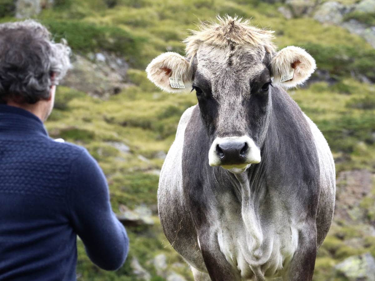 Kaunertaler Gletscherstraße, 1 van de mooiste wegen van Oostenrijk - Reislegende.nl